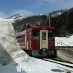 雪のおいこっと