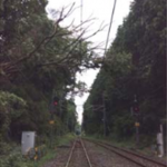 日光線文挟駅構内での倒木