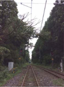 日光線文挟駅構内での倒木