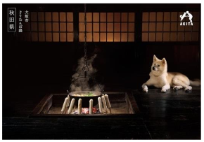「秋田犬の里」集中プロモーションポスター