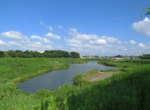 県立境川遊水地公園