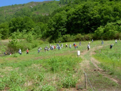 山菜収穫体験（イメージ）