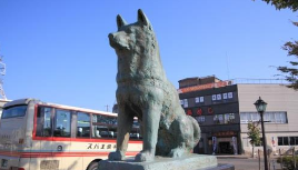 忠犬ハチ公像（大館駅コース）