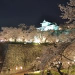 津山城（鶴山公園）夜桜（イメージ）