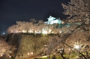 津山城（鶴山公園）夜桜（イメージ）