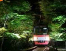 叡山電車・もみじのトンネル（市原～二ノ瀬駅間）