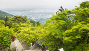 大山阿夫利神社 下社からの眺望