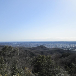 峯主山から望む「飯能・西武の森」