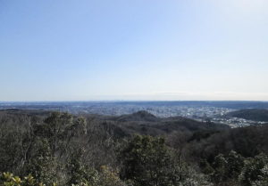 峯主山から望む「飯能・西武の森」