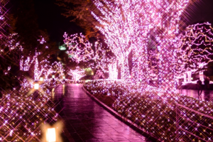 実施イメージ（昨年の新宿サザンテラス）