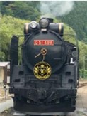 SL D51 498　オリジナルヘッドマーク（イメージ）